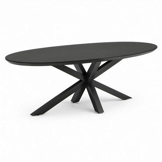 Ovaler Esstisch 200 x 100 x 75 cm aus MDF und Stahl, Schwarz